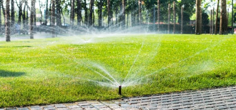 Sustainable Property Features for Real Estate - efficient irrigation system - minerva thailand